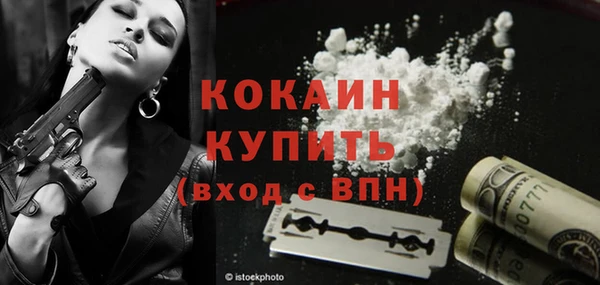 гашик Бронницы