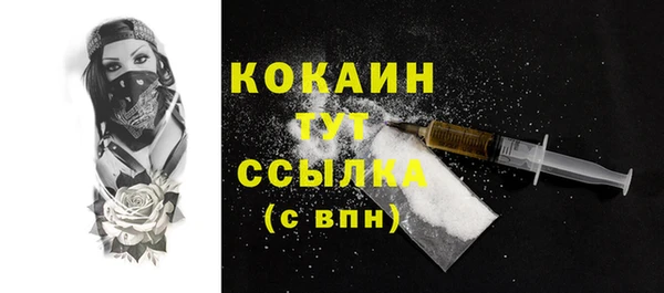 ПСИЛОЦИБИНОВЫЕ ГРИБЫ Бородино