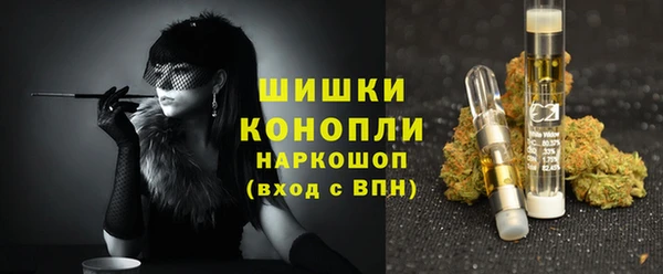 гашик Бронницы