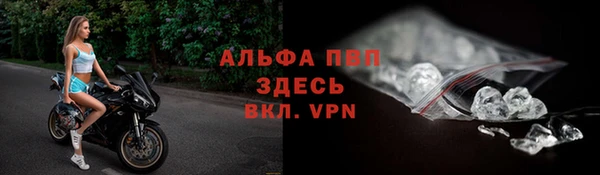 ПСИЛОЦИБИНОВЫЕ ГРИБЫ Бородино