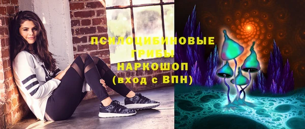 ПСИЛОЦИБИНОВЫЕ ГРИБЫ Бородино