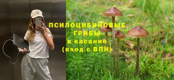 ПСИЛОЦИБИНОВЫЕ ГРИБЫ Бородино