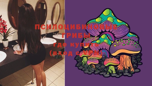 ПСИЛОЦИБИНОВЫЕ ГРИБЫ Бородино