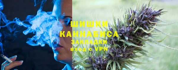 гашик Бронницы