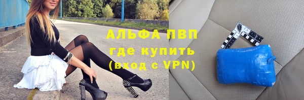 ПСИЛОЦИБИНОВЫЕ ГРИБЫ Бородино